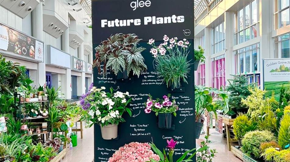 Glee future plants - credit: Michael Perry